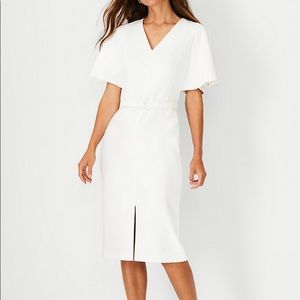 New Ann Taylor dress!